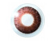 Air Optix® Colors - Кафяво (Brown) - 2 лещи Дишащи цветни контактни лещи (2 броя)
