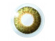 FreshLook® Colorblends® - Лешник (Pure Hazel) Цветни контактни лещи (2 броя)