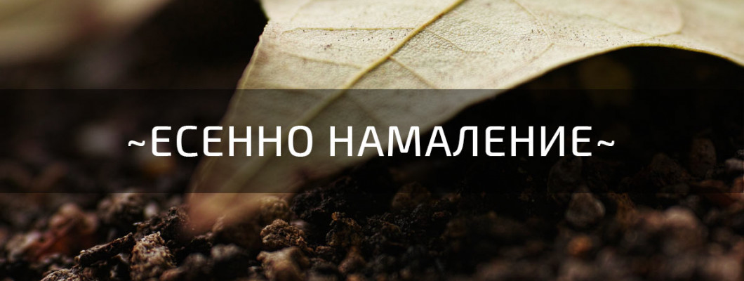 Есенно намаление -10%